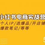2024小红书电商实战营，养号打造IP/选爆品/开店铺/爆款笔记/等等（24节）-我创创业-副业网-网络创业-资源分享-网课资源-学习教程-学知识-自媒体-抖音-视频号-小红书-网络项目,赚钱软件,副业,兼职,学生赚,挂机赚-我创创业-副业网-5ccy.cn