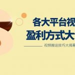 利用搬运二创在各大短视频平台获得收益，各大平台视频盈利方式大合集-我创创业-副业网-网络创业-资源分享-网课资源-学习教程-学知识-自媒体-抖音-视频号-小红书-网络项目,赚钱软件,副业,兼职,学生赚,挂机赚-我创创业-副业网-5ccy.cn