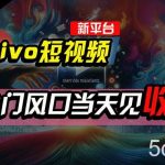 （10390期）全新平台vivo短视频，新风口AI混剪无脑搬运，冷门风口当天见收益，7天…-我创创业-副业网-网络创业-资源分享-网课资源-学习教程-学知识-自媒体-抖音-视频号-小红书-网络项目,赚钱软件,副业,兼职,学生赚,挂机赚-我创创业-副业网-5ccy.cn