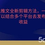 小说推文全新剪辑方法，一个视频可以结合多个平台去发布获取【揭秘】-我创创业-副业网-网络创业-资源分享-网课资源-学习教程-学知识-自媒体-抖音-视频号-小红书-网络项目,赚钱软件,副业,兼职,学生赚,挂机赚-我创创业-副业网-5ccy.cn