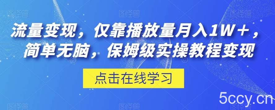 流量变现，仅靠播放量月入1W＋，简单无脑，保姆级实操教程【揭秘】-我创创业-副业网-网络创业-资源分享-网课资源-学习教程-学知识-自媒体-抖音-视频号-小红书-网络项目,赚钱软件,副业,兼职,学生赚,挂机赚-我创创业-副业网-5ccy.cn