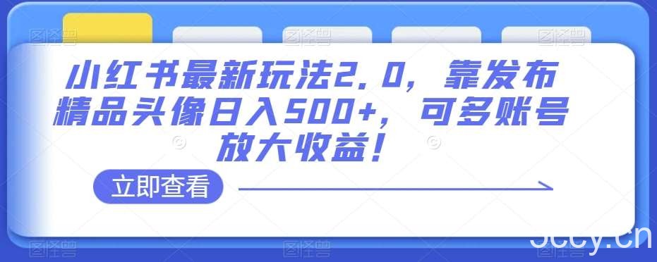小红书最新玩法2.0,靠发布精品头像日入500 ,可多账号放大收益!【揭秘】