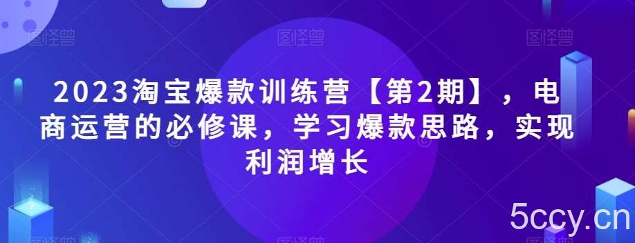 2023淘宝爆款训练营【第2期】，电商运营的必修课，学习爆款思路，实现利润增长-我创创业-副业网-网络创业-资源分享-网课资源-学习教程-学知识-自媒体-抖音-视频号-小红书-网络项目,赚钱软件,副业,兼职,学生赚,挂机赚-我创创业-副业网-5ccy.cn