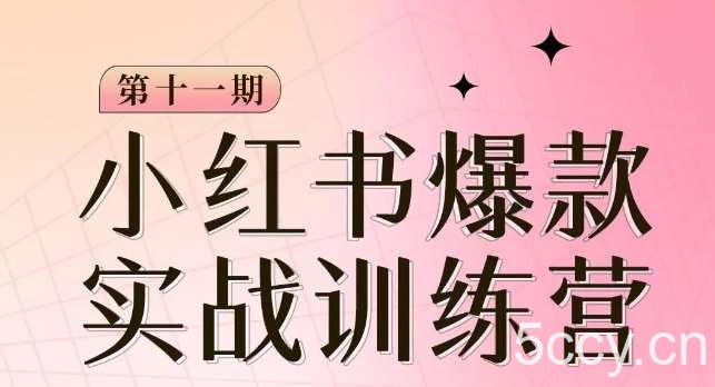小红书博主爆款训练营第11期,手把手教你从0-1做小红书,从定位到起号到变现