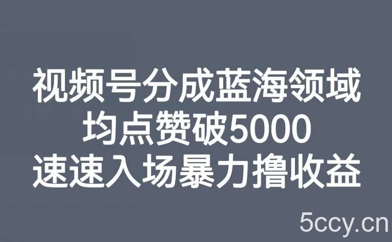 视频号分成蓝海领域,均点赞破5000,速速入场暴力撸收益