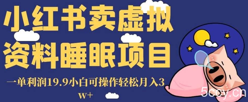 小红书卖虚拟资料睡眠项目，一单利润19.9小白可操作轻松月入3w 【揭秘】-我创创业-副业网-网络创业-资源分享-网课资源-学习教程-学知识-自媒体-抖音-视频号-小红书-网络项目,赚钱软件,副业,兼职,学生赚,挂机赚-我创创业-副业网-5ccy.cn