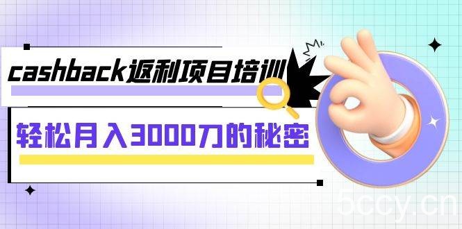 (7765期)cashback返利项目培训:轻松月入3000刀的秘密(8节课)