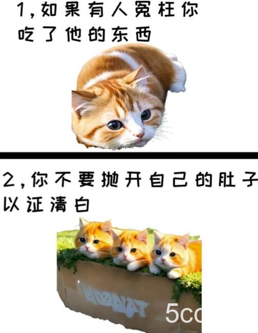 治愈系萌猫加 黑鸡汤文案，小红书商单玩法，3~10天涨到1000粉，一单200左右