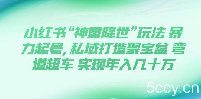 （7673期）小红书“神童降世”玩法 暴力起号,私域打造聚宝盆 弯道超车 实现年入几十万-我创创业-副业网-网络创业-资源分享-网课资源-学习教程-学知识-自媒体-抖音-视频号-小红书-网络项目,赚钱软件,副业,兼职,学生赚,挂机赚-我创创业-副业网-5ccy.cn