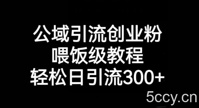 公域引流创业粉，喂饭级教程，轻松日引流300 【揭秘】-我创创业-副业网-网络创业-资源分享-网课资源-学习教程-学知识-自媒体-抖音-视频号-小红书-网络项目,赚钱软件,副业,兼职,学生赚,挂机赚-我创创业-副业网-5ccy.cn