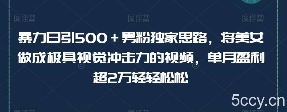 暴力日引500+男粉独家思路,将美女做成极具视觉冲击力的视频,单月盈利超2万轻轻松松