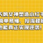 丑小鸭变天鹅女神塑造小红书玩法,月入5万 ,简单易懂,按流程操作,草根也能真正实现逆袭!-我创创业-副业网-网络创业-资源分享-网课资源-学习教程-学知识-自媒体-抖音-视频号-小红书-网络项目,赚钱软件,副业,兼职,学生赚,挂机赚-我创创业-副业网-5ccy.cn