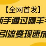 【全网首发】新手通过薅羊毛暴力引流变现速成玩法-我创创业-副业网-网络创业-资源分享-网课资源-学习教程-学知识-自媒体-抖音-视频号-小红书-网络项目,赚钱软件,副业,兼职,学生赚,挂机赚-我创创业-副业网-5ccy.cn