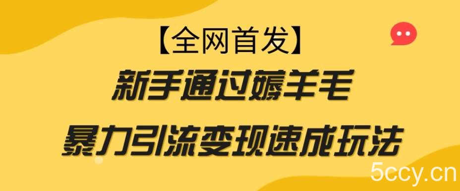 【全网首发】新手通过薅羊毛暴力引流变现速成玩法-我创创业-副业网-网络创业-资源分享-网课资源-学习教程-学知识-自媒体-抖音-视频号-小红书-网络项目,赚钱软件,副业,兼职,学生赚,挂机赚-我创创业-副业网-5ccy.cn