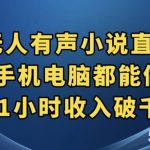 抖音无人有声小说直播,手机电脑都能做,1小时收入破千【揭秘】-我创创业-副业网-网络创业-资源分享-网课资源-学习教程-学知识-自媒体-抖音-视频号-小红书-网络项目,赚钱软件,副业,兼职,学生赚,挂机赚-我创创业-副业网-5ccy.cn