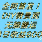全网首发冷门赛道!DIY微景观,无脑搬运视频,日收益800 【揭秘】-我创创业-副业网-网络创业-资源分享-网课资源-学习教程-学知识-自媒体-抖音-视频号-小红书-网络项目,赚钱软件,副业,兼职,学生赚,挂机赚-我创创业-副业网-5ccy.cn