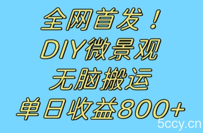 全网首发冷门赛道!DIY微景观,无脑搬运视频,日收益800 【揭秘】