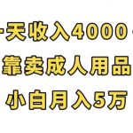 一天收入4000 ，靠卖成人用品，小白轻松月入5万【揭秘】-我创创业-副业网-网络创业-资源分享-网课资源-学习教程-学知识-自媒体-抖音-视频号-小红书-网络项目,赚钱软件,副业,兼职,学生赚,挂机赚-我创创业-副业网-5ccy.cn