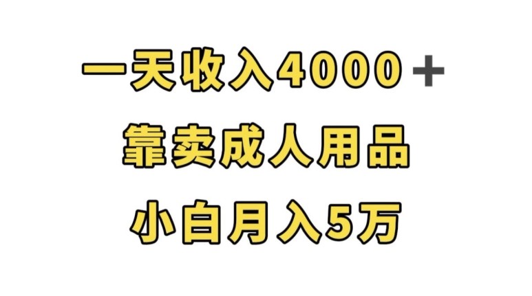 一天收入4000 ，靠卖成人用品，小白轻松月入5万【揭秘】-我创创业-副业网-网络创业-资源分享-网课资源-学习教程-学知识-自媒体-抖音-视频号-小红书-网络项目,赚钱软件,副业,兼职,学生赚,挂机赚-我创创业-副业网-5ccy.cn