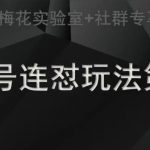 梅花实验室社群连怼玩法第三期轻原创玩法 测素材方式-我创创业-副业网-网络创业-资源分享-网课资源-学习教程-学知识-自媒体-抖音-视频号-小红书-网络项目,赚钱软件,副业,兼职,学生赚,挂机赚-我创创业-副业网-5ccy.cn