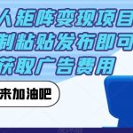 小红书达人矩阵变现项目,只需要复制粘贴发布即可,从而获取广告费用-我创创业-副业网-网络创业-资源分享-网课资源-学习教程-学知识-自媒体-抖音-视频号-小红书-网络项目,赚钱软件,副业,兼职,学生赚,挂机赚-我创创业-副业网-5ccy.cn