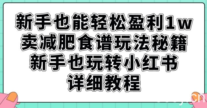 新手也能轻松盈利1w，卖减肥食谱玩法秘籍，新手也玩转小红书详细教程【揭秘】-我创创业-副业网-网络创业-资源分享-网课资源-学习教程-学知识-自媒体-抖音-视频号-小红书-网络项目,赚钱软件,副业,兼职,学生赚,挂机赚-我创创业-副业网-5ccy.cn