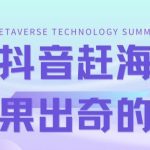 最新抖音快手赶海无人直播流量庞大,效果出奇的好(教程 素材)-我创创业-副业网-网络创业-资源分享-网课资源-学习教程-学知识-自媒体-抖音-视频号-小红书-网络项目,赚钱软件,副业,兼职,学生赚,挂机赚-我创创业-副业网-5ccy.cn