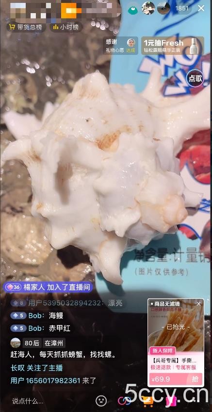 最新抖音快手赶海无人直播流量庞大，效果出奇的好（教程 素材）