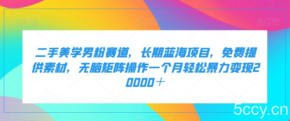 百家最新搬运玩法,单号月入5000 【揭秘】