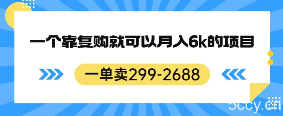 一单卖299-2688,一个靠复购就可以月入6k的暴利项目【揭秘】