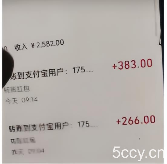 黄岛主·视频号儿女祝福视频引流变现分享课，银发经济新风囗【视频 素材】