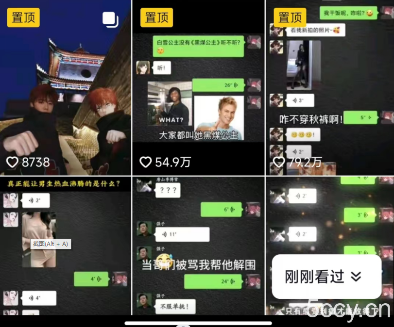 抖音搞笑对话项目详解-涨粉快作品简单,小白轻松上手