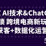 独家 AI技术-我创创业-副业网-网络创业-资源分享-网课资源-学习教程-学知识-自媒体-抖音-视频号-小红书-网络项目,赚钱软件,副业,兼职,学生赚,挂机赚-我创创业-副业网-5ccy.cn