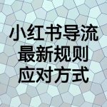 小红书导流最新规则应对方式,新规以后目前还可用的引流方式解读-我创创业-副业网-网络创业-资源分享-网课资源-学习教程-学知识-自媒体-抖音-视频号-小红书-网络项目,赚钱软件,副业,兼职,学生赚,挂机赚-我创创业-副业网-5ccy.cn