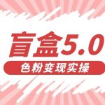 盲盒交友变现5.0(色粉变现)日入500-我创创业-副业网-网络创业-资源分享-网课资源-学习教程-学知识-自媒体-抖音-视频号-小红书-网络项目,赚钱软件,副业,兼职,学生赚,挂机赚-我创创业-副业网-5ccy.cn