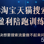 2023淘宝天猫搜索持续盈利陪跑训练营,解决想要搜索流量做不起来问题-我创创业-副业网-网络创业-资源分享-网课资源-学习教程-学知识-自媒体-抖音-视频号-小红书-网络项目,赚钱软件,副业,兼职,学生赚,挂机赚-我创创业-副业网-5ccy.cn
