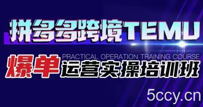 拼多多跨境TEMU爆单运营实操培训班 海外拼多多的选品、运营、爆单