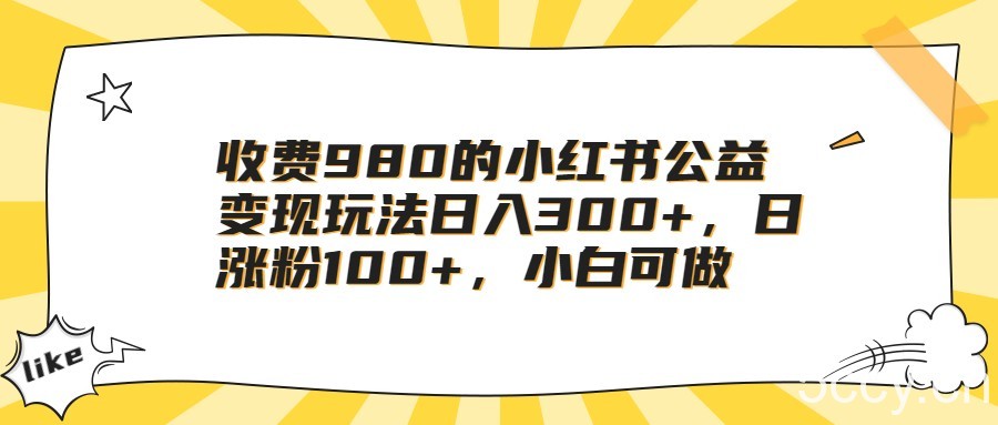 收费980的小红书公益变现玩法日入300 ,日涨粉100 ,小白可做
