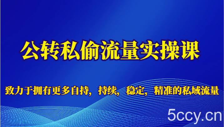 公转私偷流量实操课,致力于拥有更多自持,持续,稳定,精准的私域流量