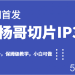 全网首发小杨哥切片IP3.0,日入500 ,保姆级教学,小白可做-我创创业-副业网-网络创业-资源分享-网课资源-学习教程-学知识-自媒体-抖音-视频号-小红书-网络项目,赚钱软件,副业,兼职,学生赚,挂机赚-我创创业-副业网-5ccy.cn