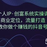 个人IP·创富系统实操课:商业定位,流量打造,教你做个赚钱的抖音号-我创创业-副业网-网络创业-资源分享-网课资源-学习教程-学知识-自媒体-抖音-视频号-小红书-网络项目,赚钱软件,副业,兼职,学生赚,挂机赚-我创创业-副业网-5ccy.cn