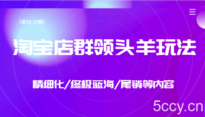 淘宝店群领头羊玩法,精细化/终极蓝海/尾销等内容