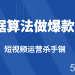 短视频运营杀手锏-根据算法数据反馈针对性修改视频做爆款【2.0】-我创创业-副业网-网络创业-资源分享-网课资源-学习教程-学知识-自媒体-抖音-视频号-小红书-网络项目,赚钱软件,副业,兼职,学生赚,挂机赚-我创创业-副业网-5ccy.cn