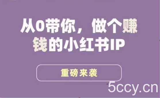 小红书运营大宝典,从0带你做个赚钱的小红书IP