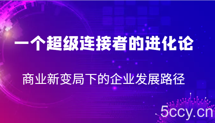 一个超级连接者的进化论 商业新变局下的企业发展路径