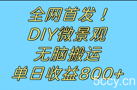 全网首发冷门赛道!DIY微景观,无脑搬运视频,日收益800