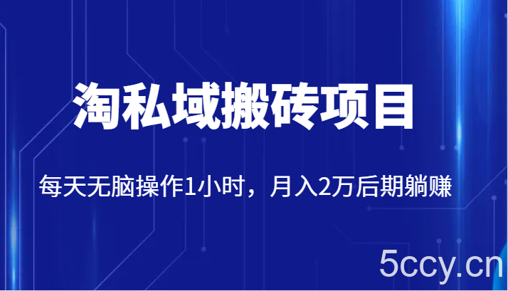 价值2980的淘私域搬砖项目，每天无脑操作1小时，月入2万后期躺赚-我创创业-副业网-网络创业-资源分享-网课资源-学习教程-学知识-自媒体-抖音-视频号-小红书-网络项目,赚钱软件,副业,兼职,学生赚,挂机赚-我创创业-副业网-5ccy.cn
