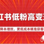 小红书低粉高变现课-降本增效，更低成本精准获客，小红书必爆的流量密码-我创创业-副业网-网络创业-资源分享-网课资源-学习教程-学知识-自媒体-抖音-视频号-小红书-网络项目,赚钱软件,副业,兼职,学生赚,挂机赚-我创创业-副业网-5ccy.cn