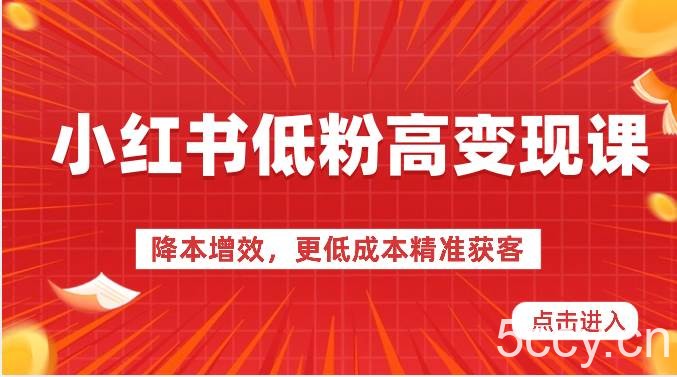 小红书低粉高变现课-降本增效，更低成本精准获客，小红书必爆的流量密码-我创创业-副业网-网络创业-资源分享-网课资源-学习教程-学知识-自媒体-抖音-视频号-小红书-网络项目,赚钱软件,副业,兼职,学生赚,挂机赚-我创创业-副业网-5ccy.cn