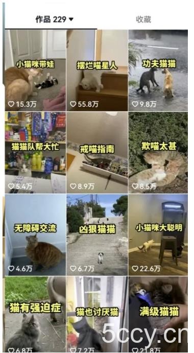 拆解抖音盘点类中视频变现副业项目，视频版一条龙大解析分享给你【视频课程】